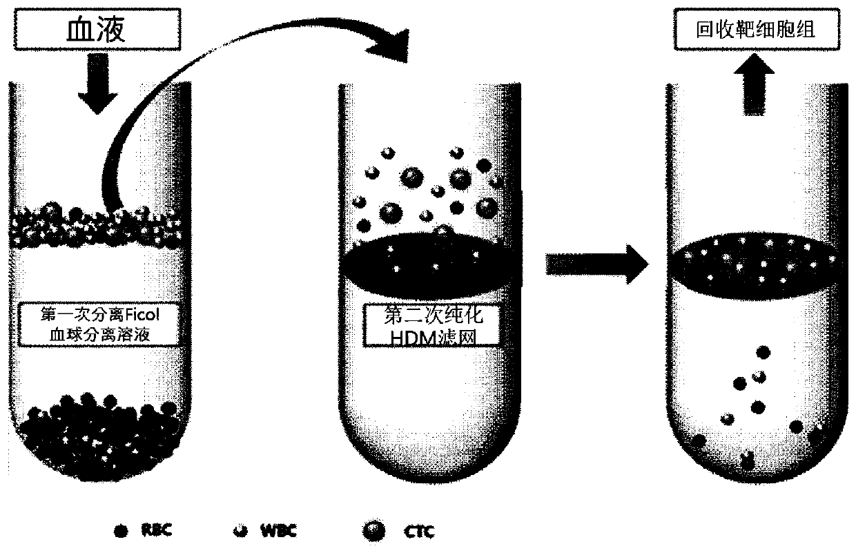 Eml4-alk gene mutation analysis method