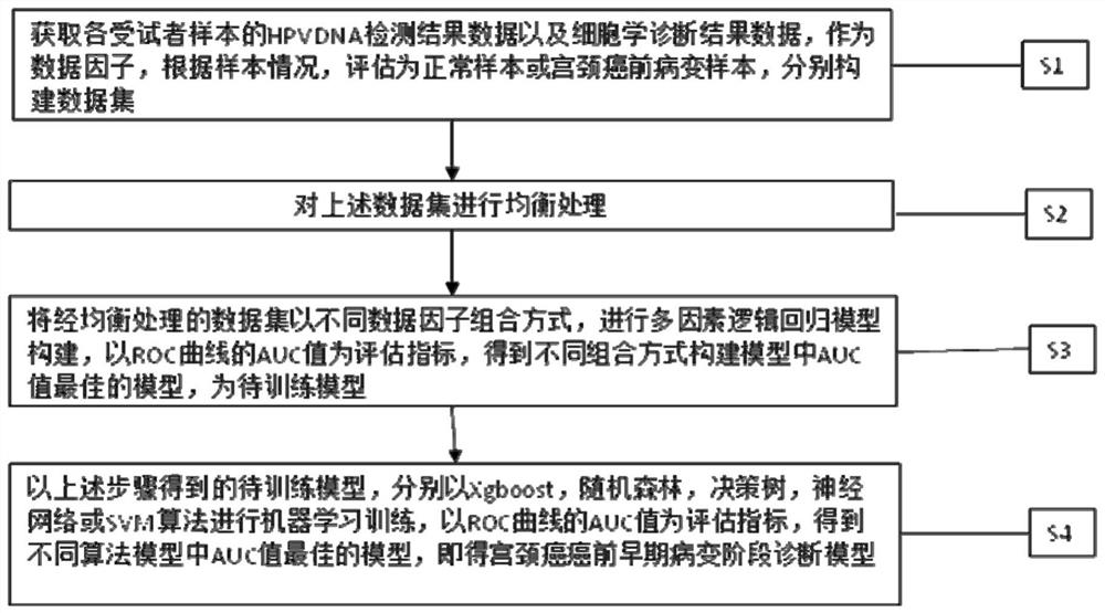 Cervical cancer precancerous early lesion stage diagnosis model and establishment method