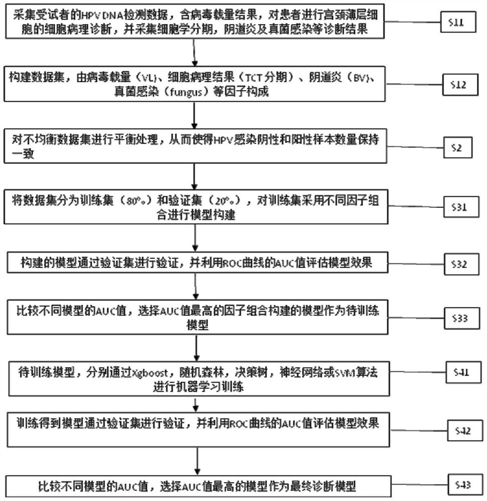 Cervical cancer precancerous early lesion stage diagnosis model and establishment method