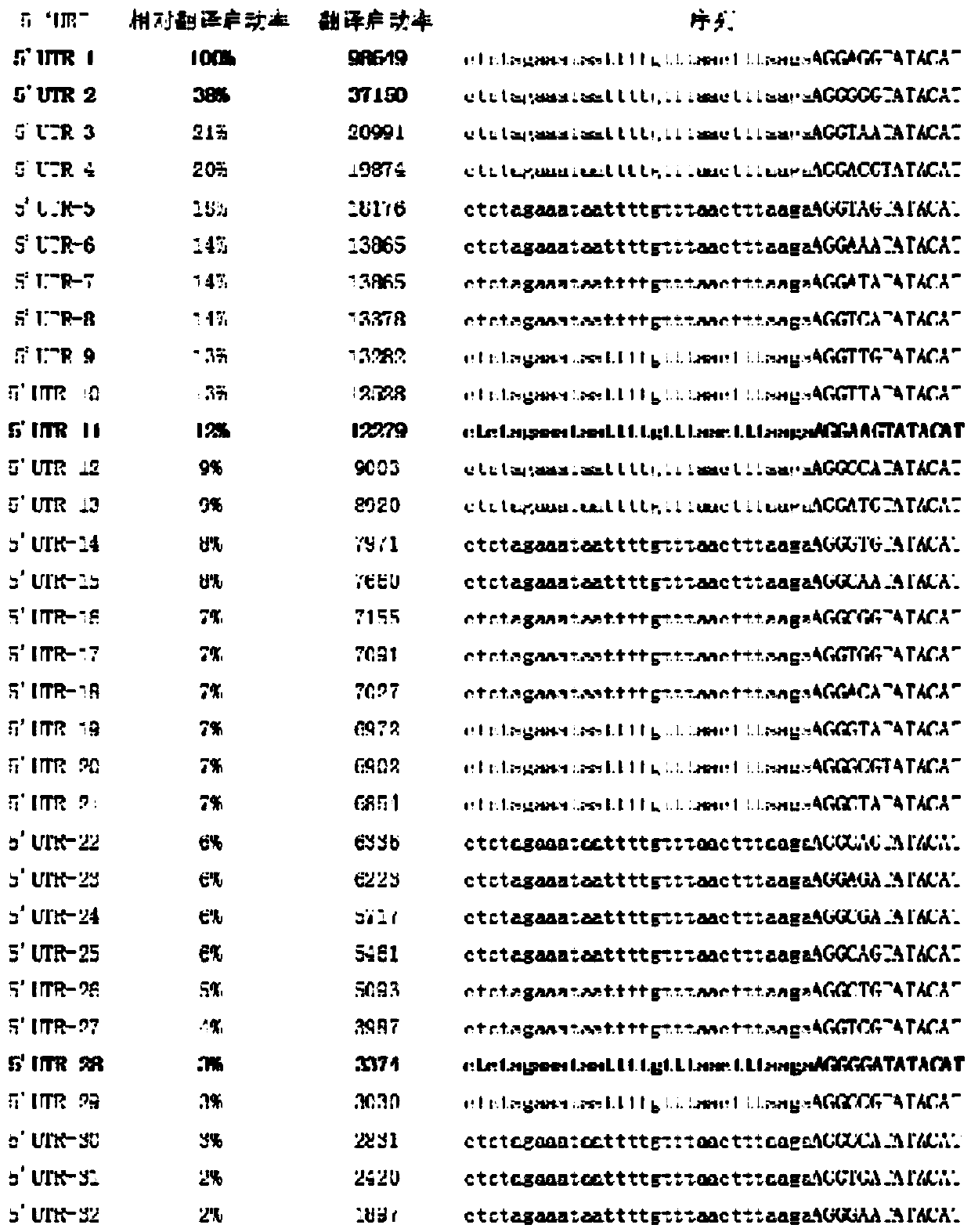 Construction method and fermentation process of engineering bacteria for producing artemisinin precursor