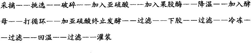 Brewing process of mulberry wine