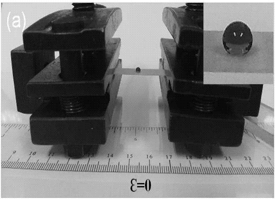 Preparation method of photocuring type superhydrophobic composite film