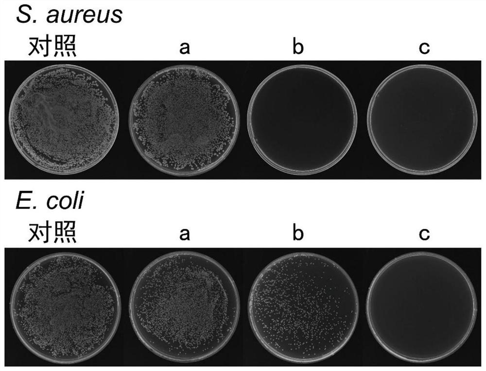 A kind of antibacterial and mildew-proof polyurethane paint film based on triethanolamine and preparation method thereof