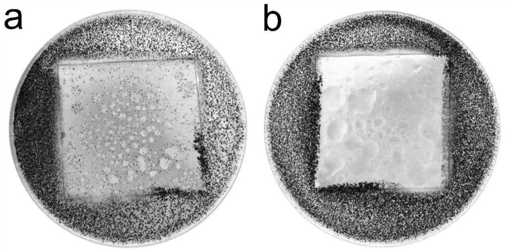 A kind of antibacterial and mildew-proof polyurethane paint film based on triethanolamine and preparation method thereof