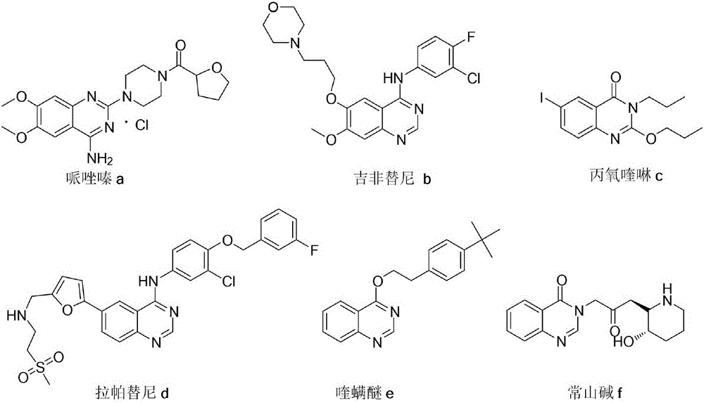 2-(2-iodoaryl)quinazoline compound and preparation method thereof