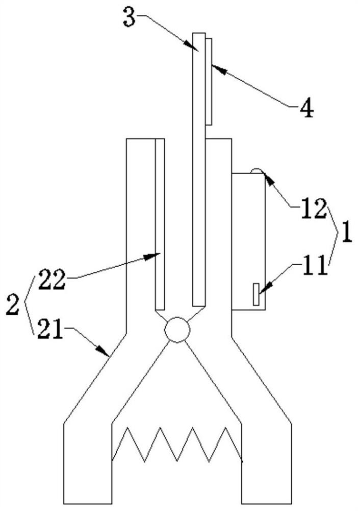 Equipment capable of adjusting core temperature in animal body