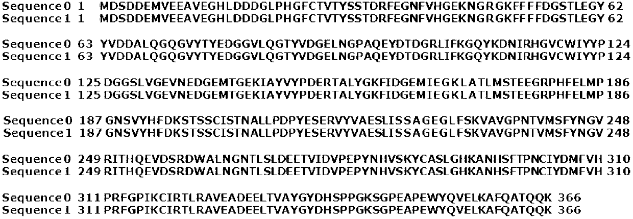 Preparation method of human protein lysine methyltransferase SET9 fusion protein