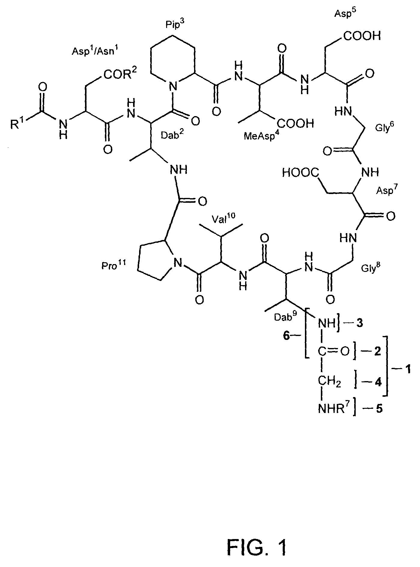 Dab9 derivatives of lipopeptide antibiotics and methods of making and using the same