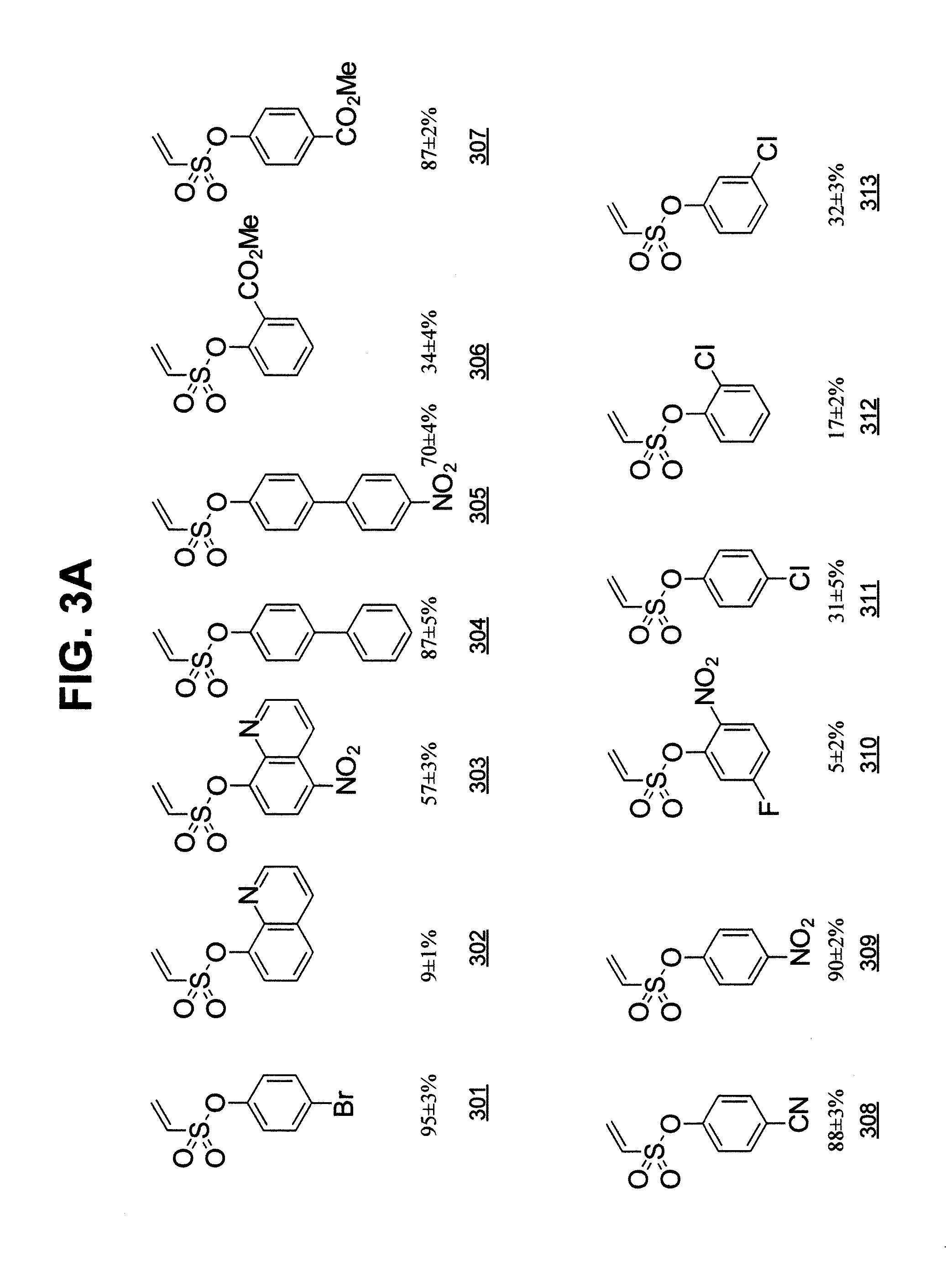 Cathepsin l inhibitors and probes comprising vinyl sulfonate moiety and methods of using same