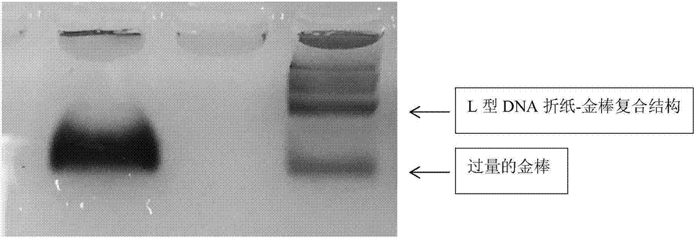 Stimuli-responsive type nucleic acid nanostructure carrier chiral noble metal nanocomposite and preparation method thereof and application