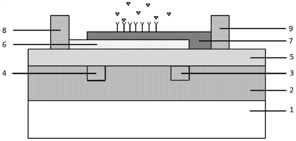 A two-dimensional heterojunction tunneling field effect transistor immunosensor and its preparation method