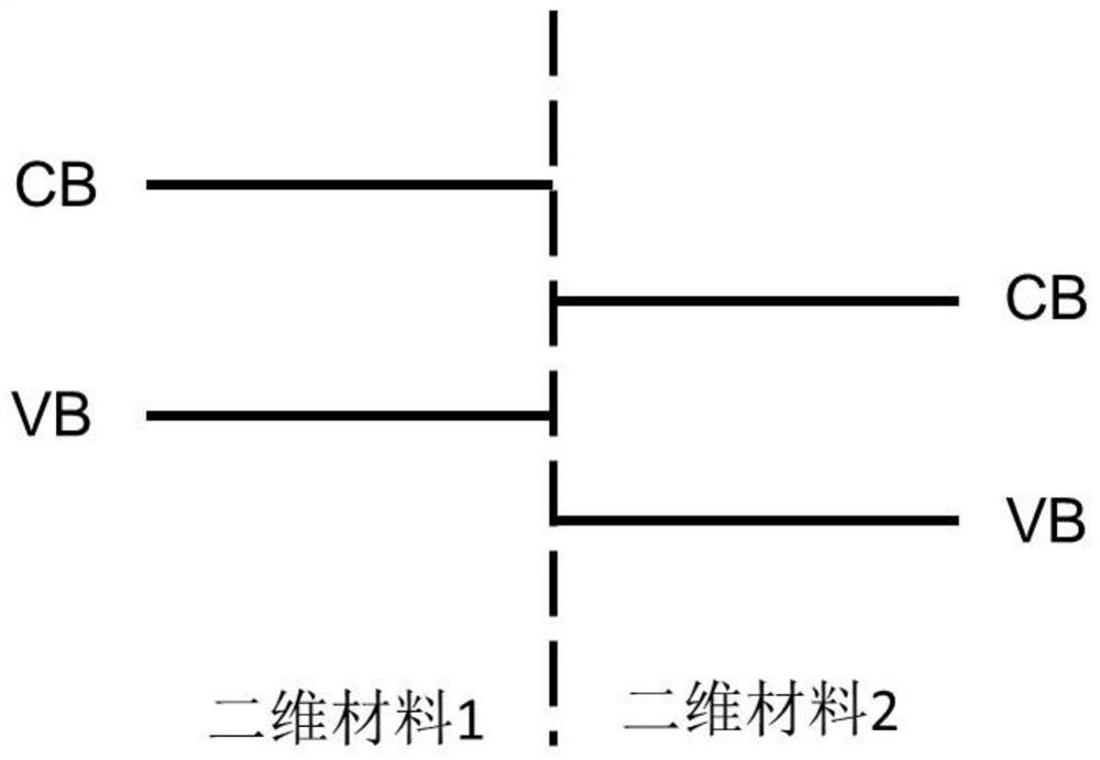 A two-dimensional heterojunction tunneling field effect transistor immunosensor and its preparation method