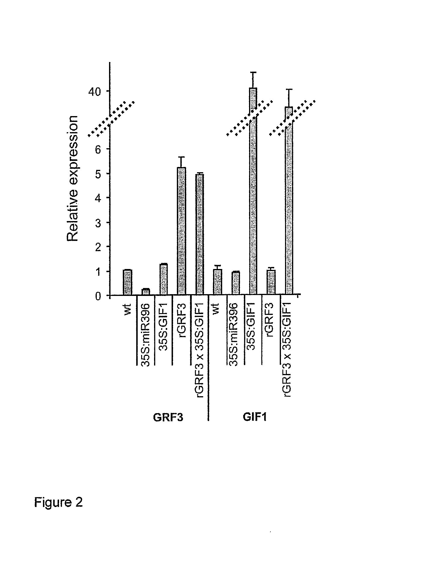 GRF3 Mutants, Methods and Plants