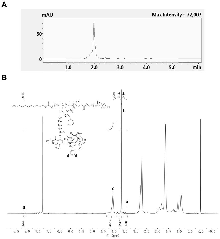 PH/cathepsin B step-by-step response polymer-drug conjugate and micelle, as well as preparation method and application of pH/cathepsin B step-by-step response polymer-drug conjugate and micelle