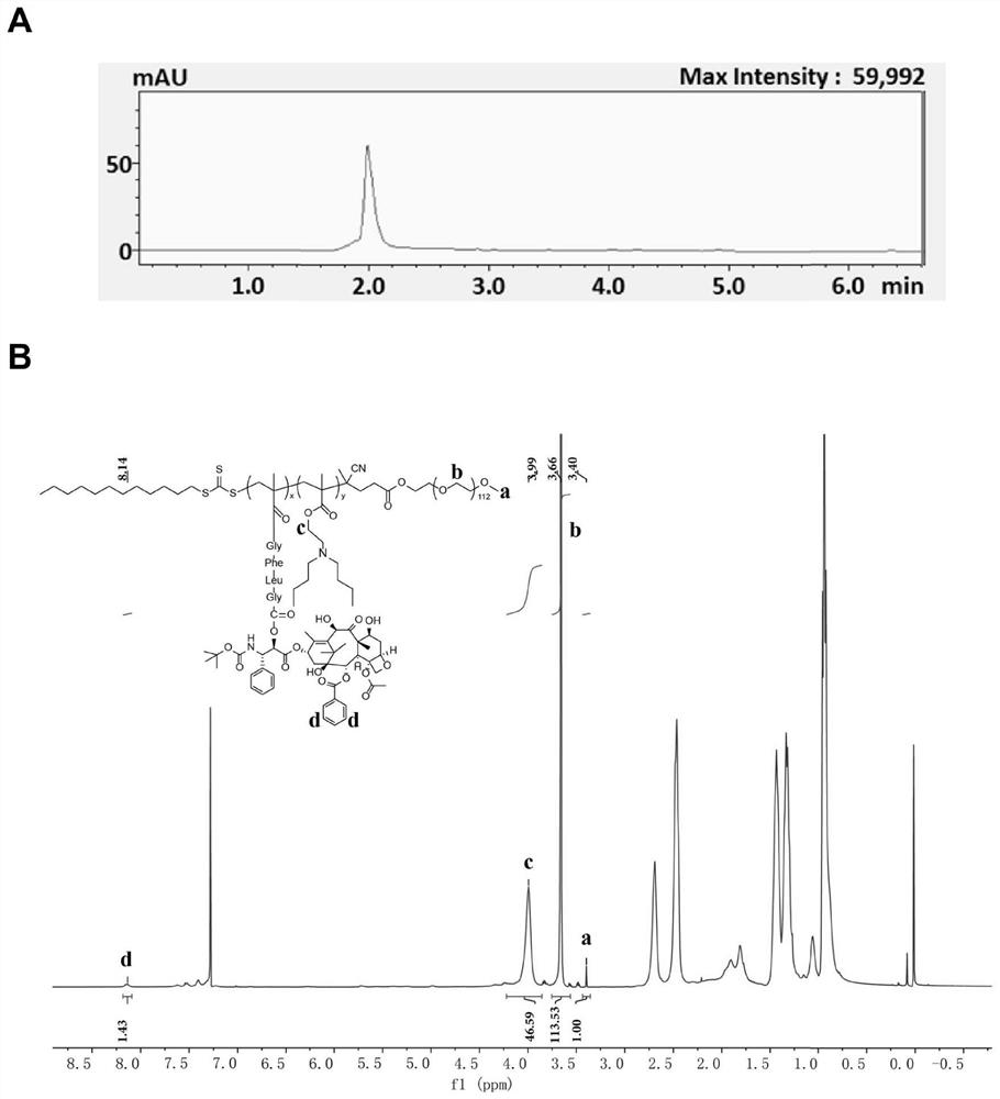 PH/cathepsin B step-by-step response polymer-drug conjugate and micelle, as well as preparation method and application of pH/cathepsin B step-by-step response polymer-drug conjugate and micelle