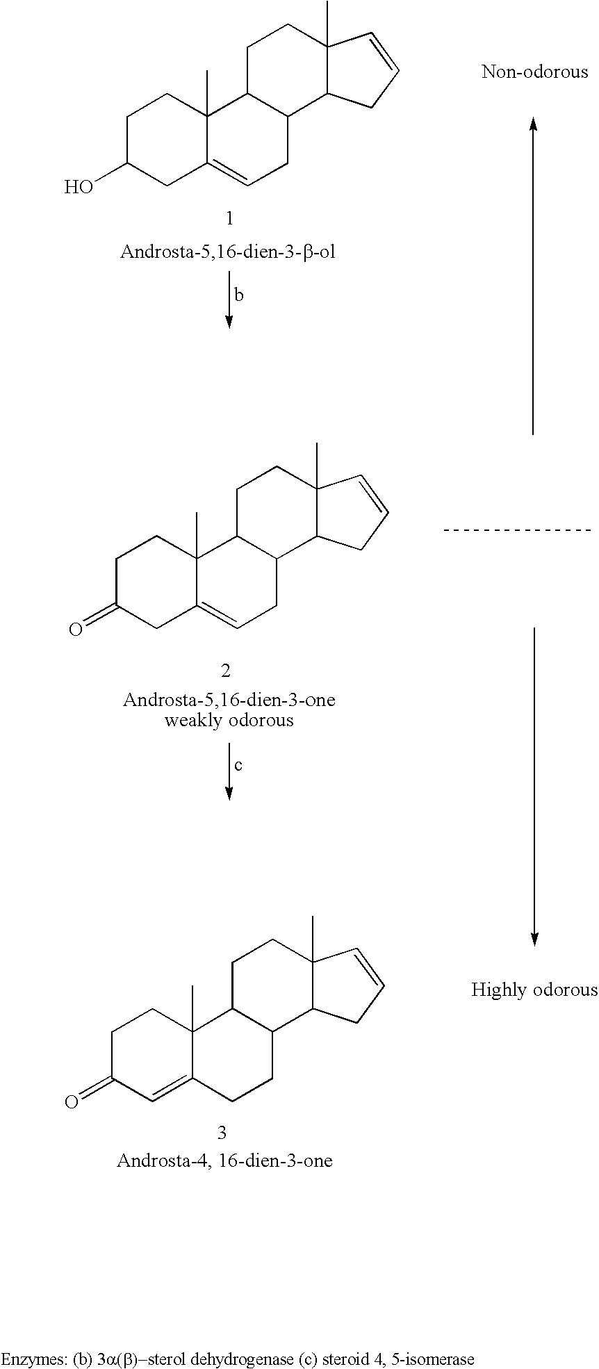 Perfume compositions