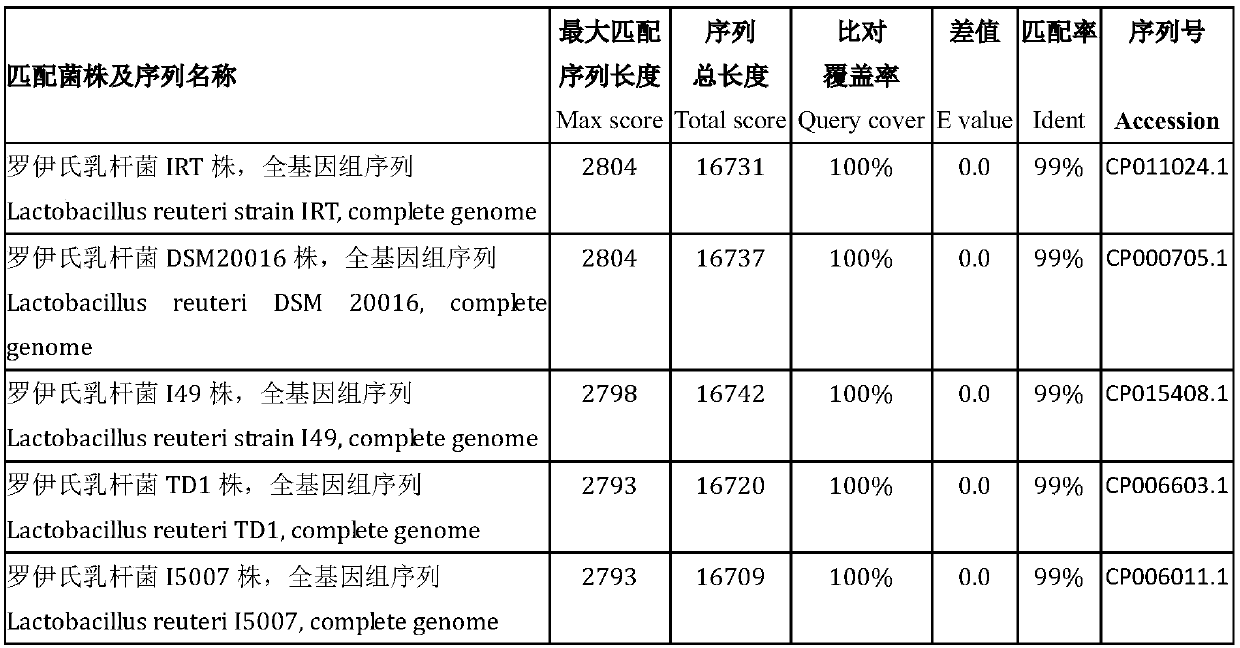 Lactobacillus reuteri HI120 of high-expression LAI (linoleic acid isomerase) and application of lactobacillus reuteri HI120