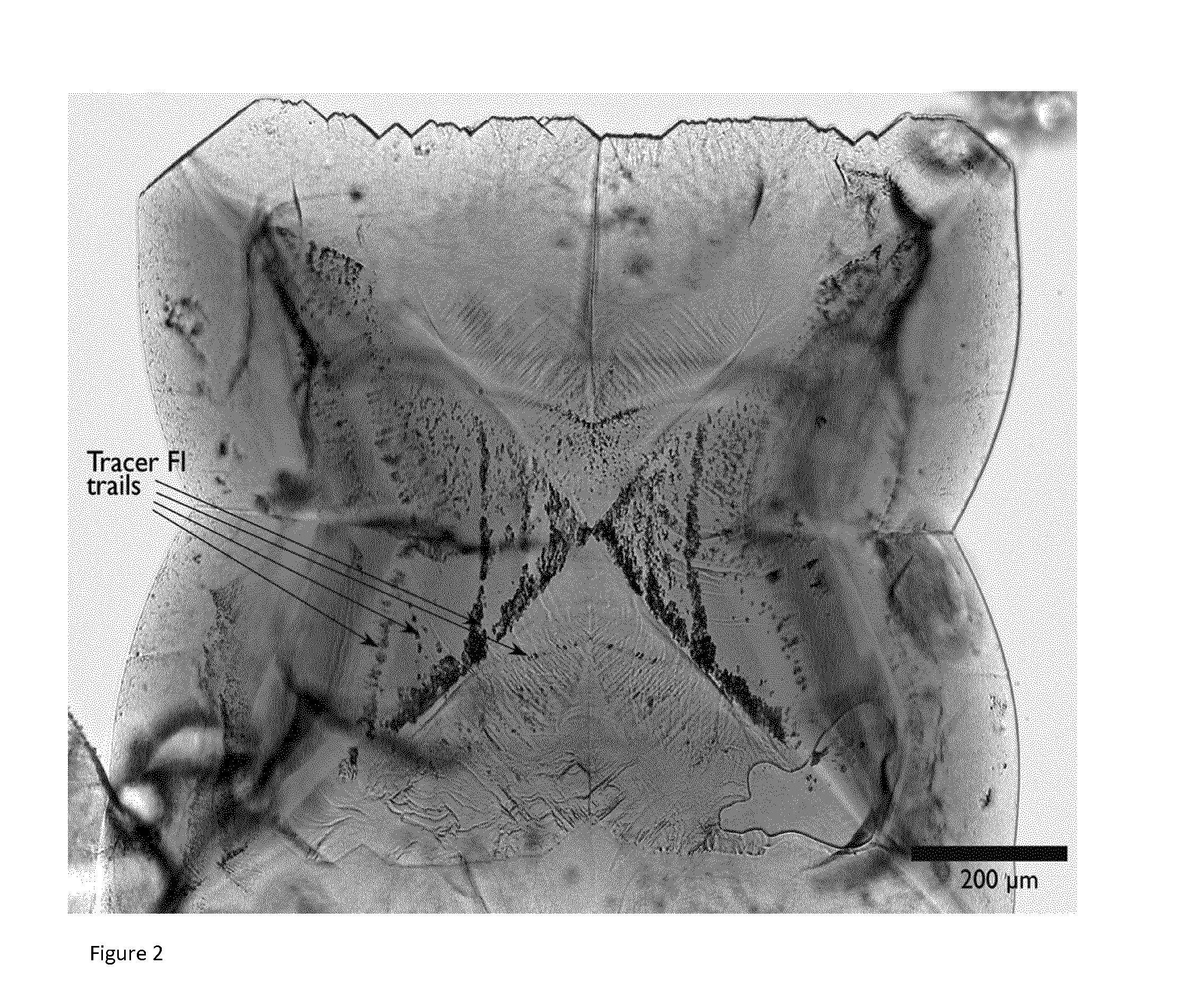 Mineral-Encapsulated Tracers