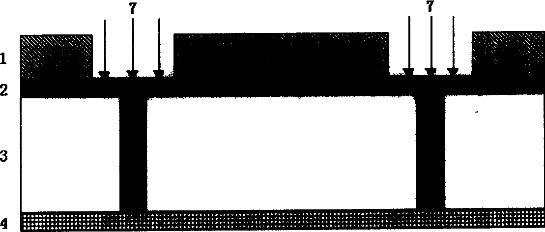 Plasma etching method for eliminating organic substance using sulfur dioxide mixture gas