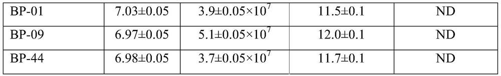 Strain of bacillus pumilus BP-09 tolerant to high-concentration tea residues and application of bacillus pumilus BP-09