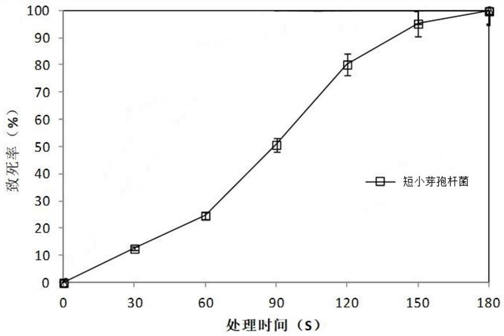 Strain of bacillus pumilus BP-09 tolerant to high-concentration tea residues and application of bacillus pumilus BP-09