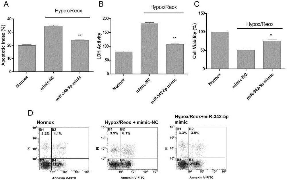 Application of miR-342-5p in preparation of drug for preventing and treating heart disease