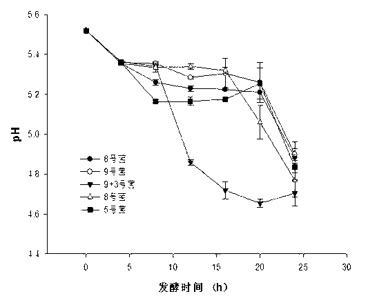 Fish bone pet attractant and preparation method thereof