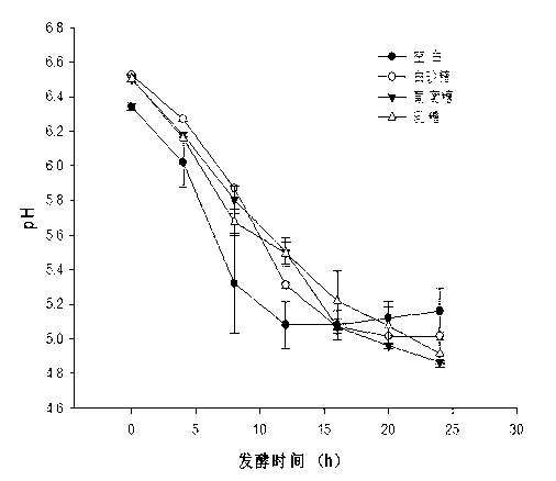 Fish bone pet attractant and preparation method thereof