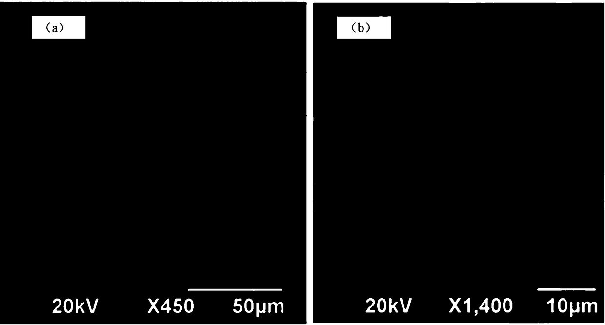 Core-shell type catalyst for directional catalytic conversion of biomass synthesis gas, and preparation of core-shell type catalyst