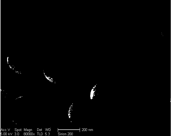 A sio for detecting malachite green  <sub>2</sub> Preparation method of @rox nanoparticle fluorescent probe array