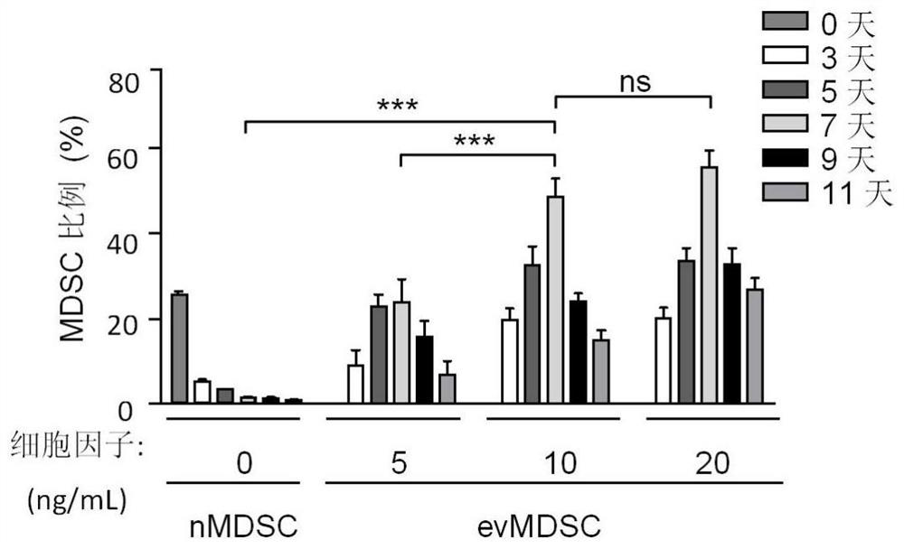 In-vitro induced immunosuppressive myeloid suppressive cell as well as preparation and application thereof