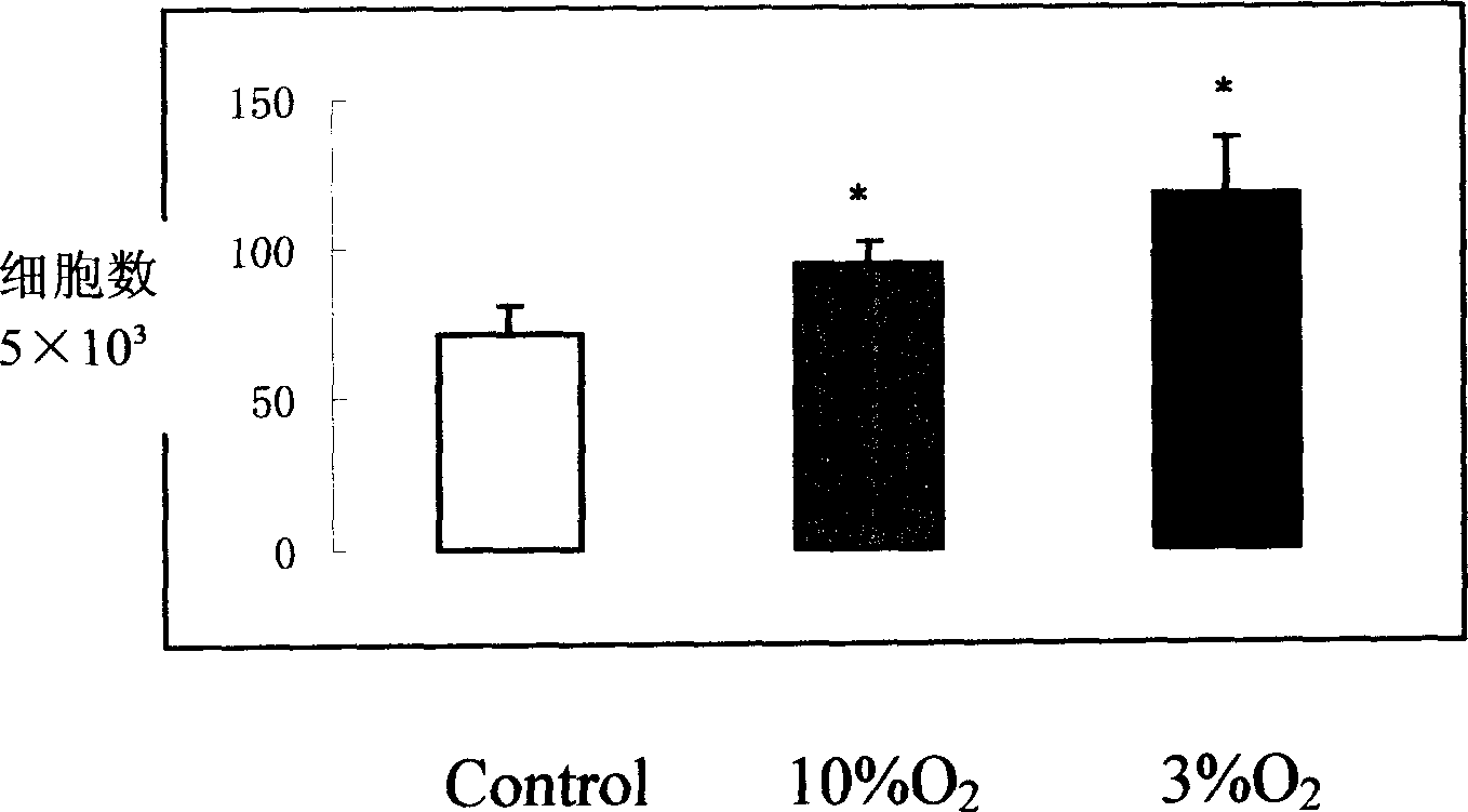 Human marrow mesenchymal stem cell in vitro amplification method