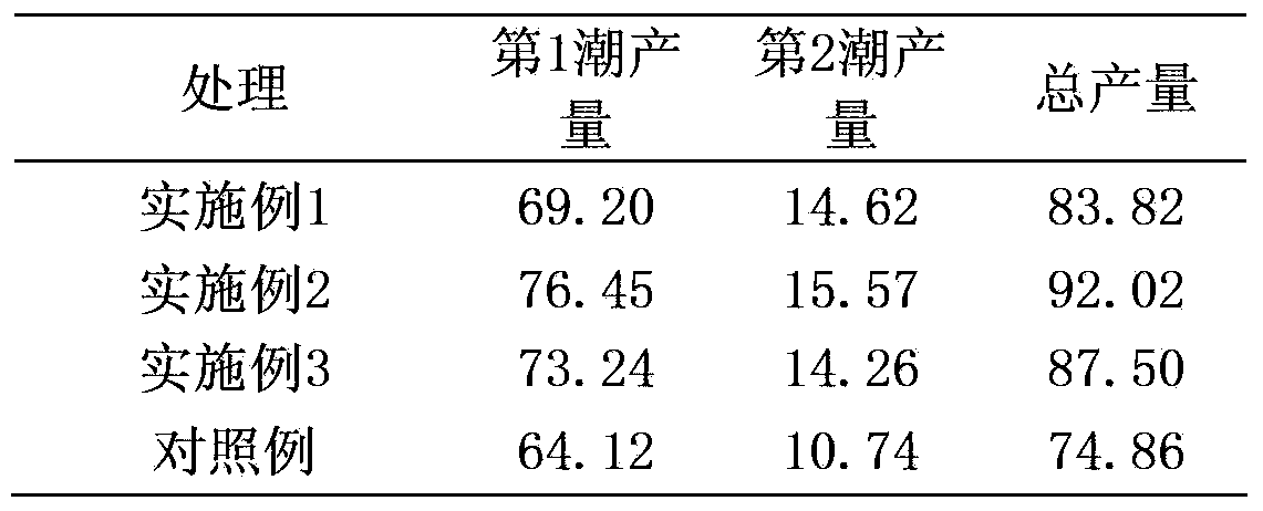 Method for cultivating Auricularia polytricha by utilization of pleurotus eryngii dregs