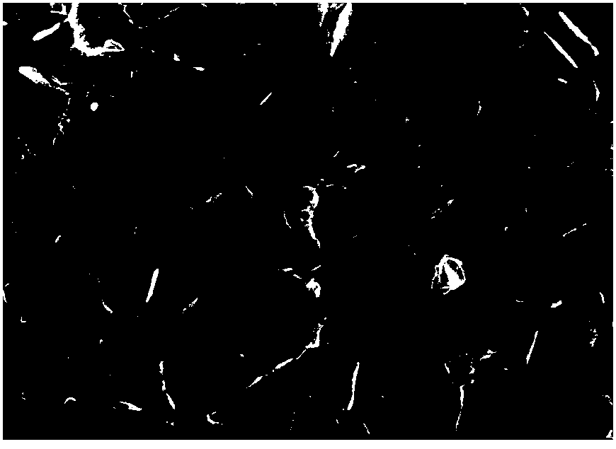 Lithium ion battery and positive electrode material thereof