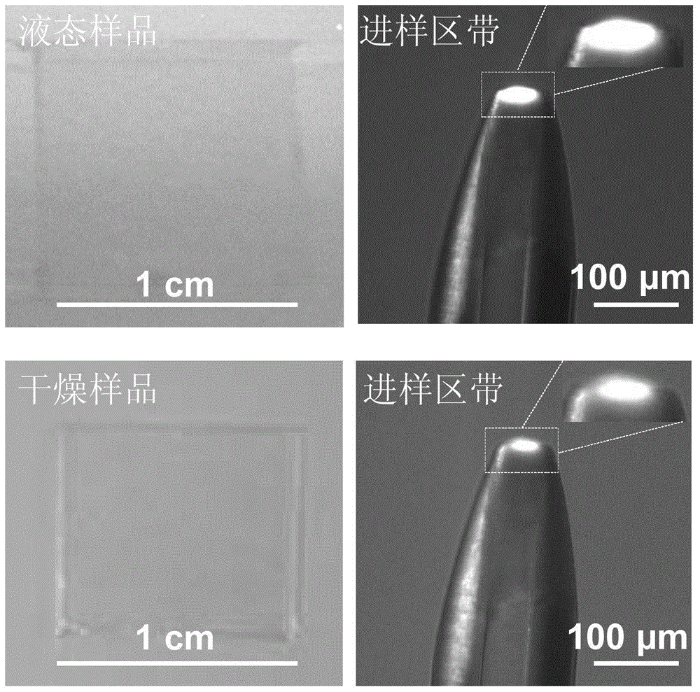 A method and device for micron-scale zonal sampling suitable for capillary