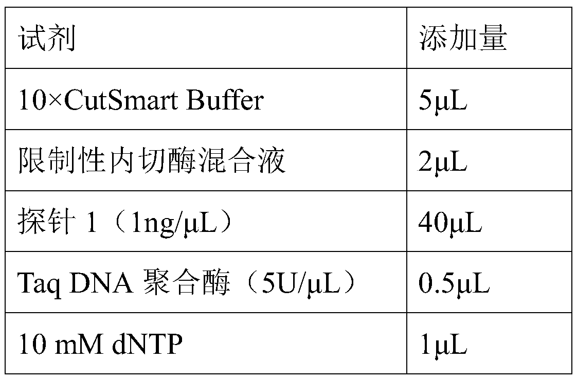 A kind of preparation method of the fish probe of egfr gene