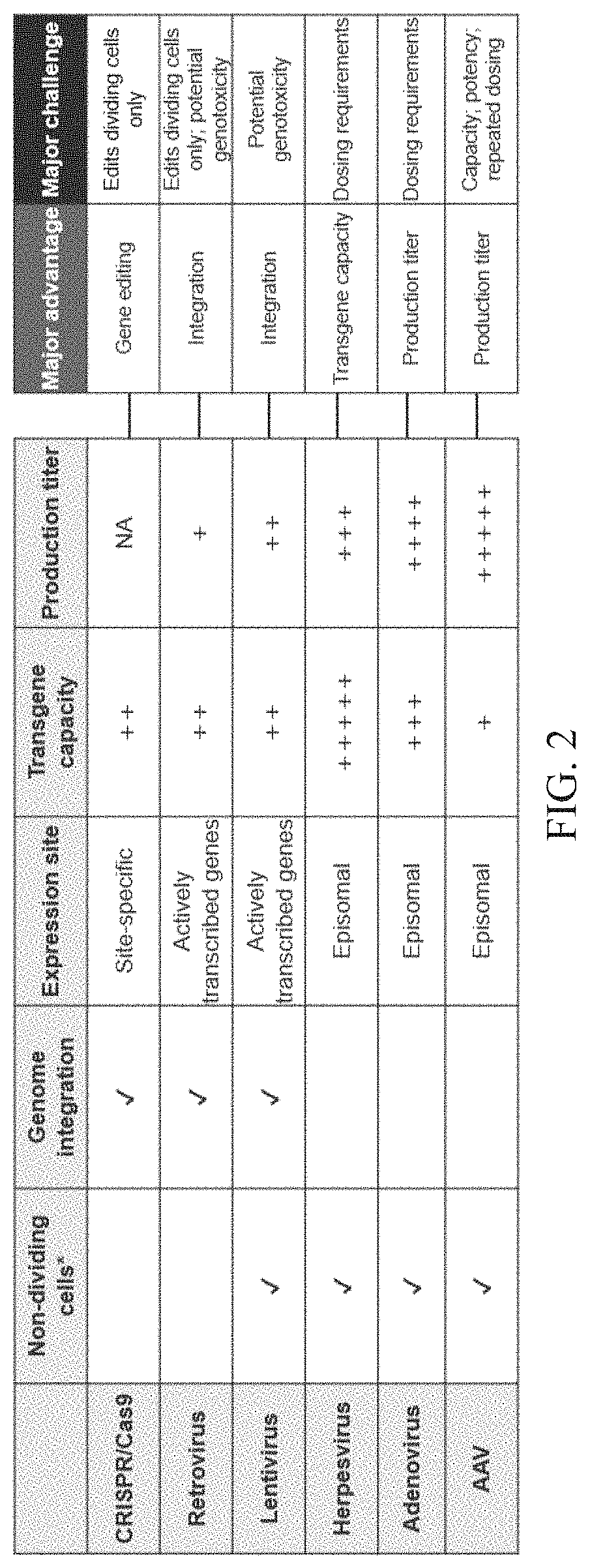 Nucleic acid therapeutics for genetic disorders