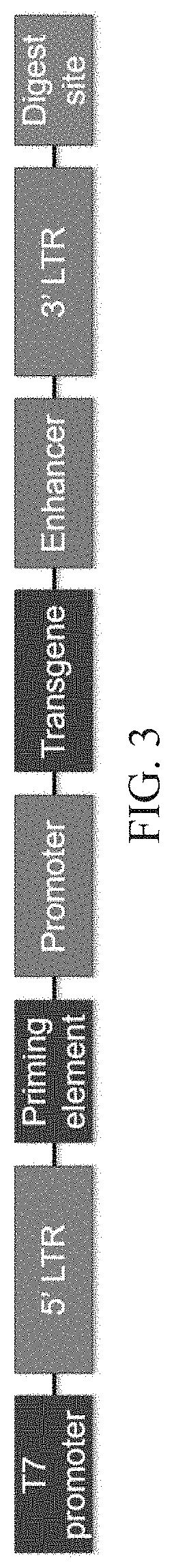 Nucleic acid therapeutics for genetic disorders