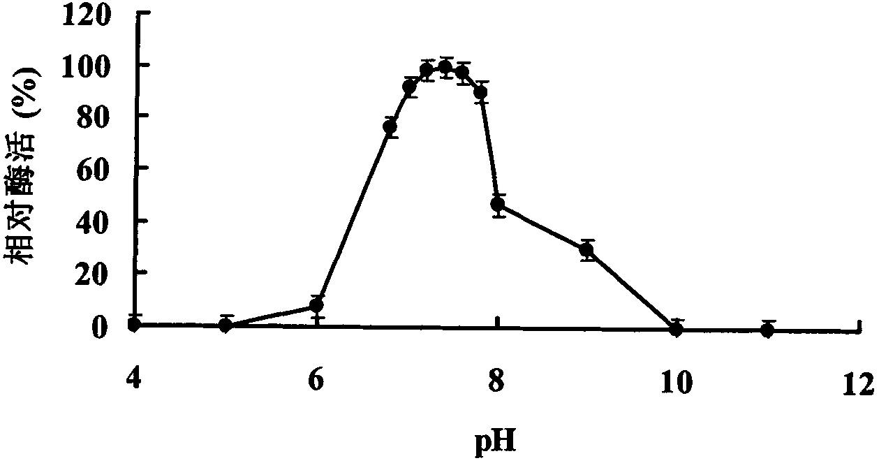 Neutral alpha-galactosidase Aga-S27 having high degradability of alpha-galactoside oligosaccharide, and genes and application thereof