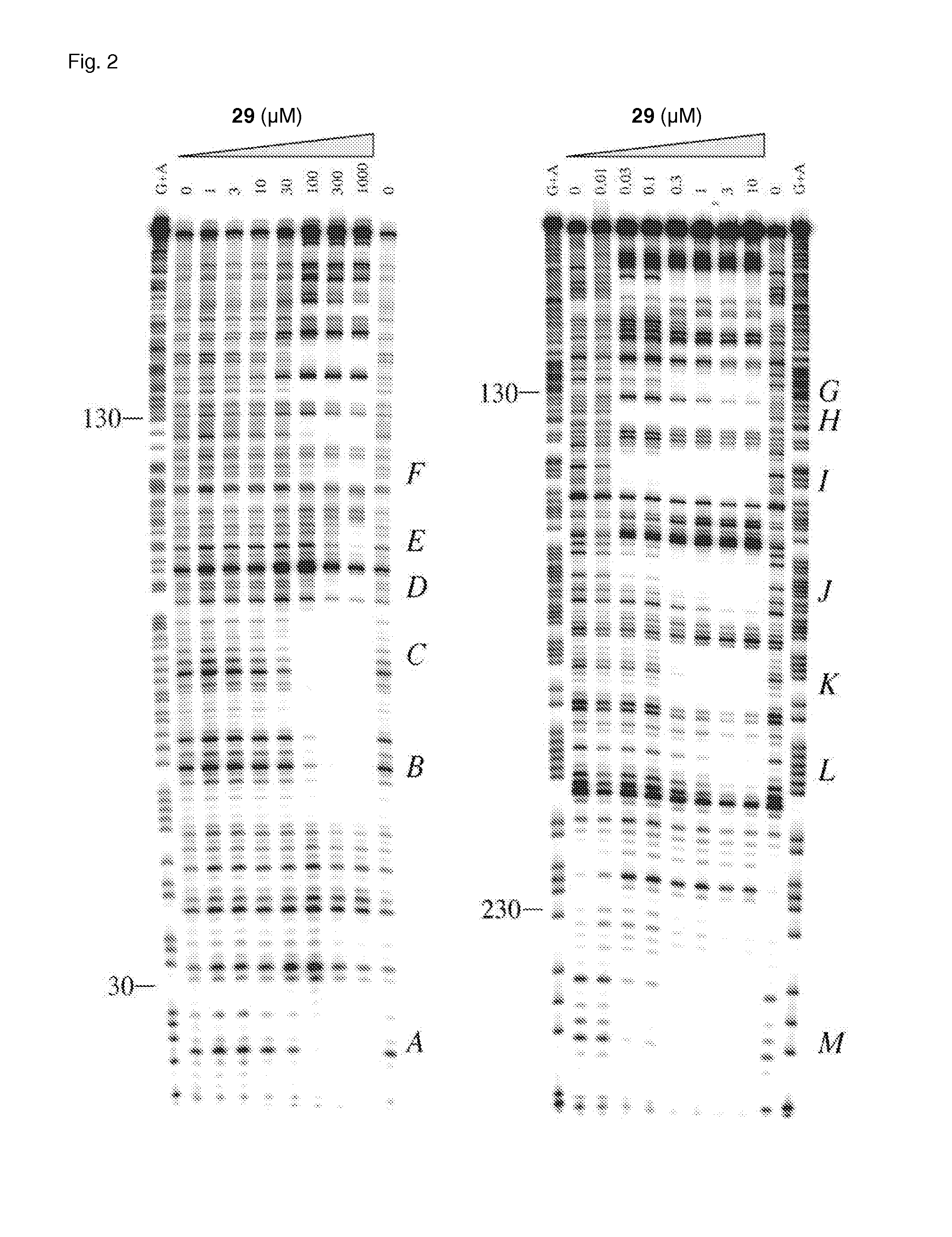 Alkyl 4- [4- (5-oxo-2,3,5, 11a-tetrahydo-5H-pyrrolo [2, 1-c] [1,4] benzodiazepine-8-yloxy)-butyrylamino]-1H-pyrrole-2-carboxylate derivatives and related compounds for the treatment of a proliferative disease