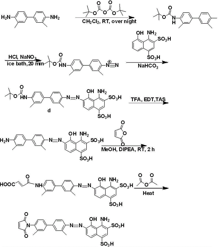 Exendin-4 modified by Evans blue or derivatives of Evans blue and preparation method and application of Exendin-4