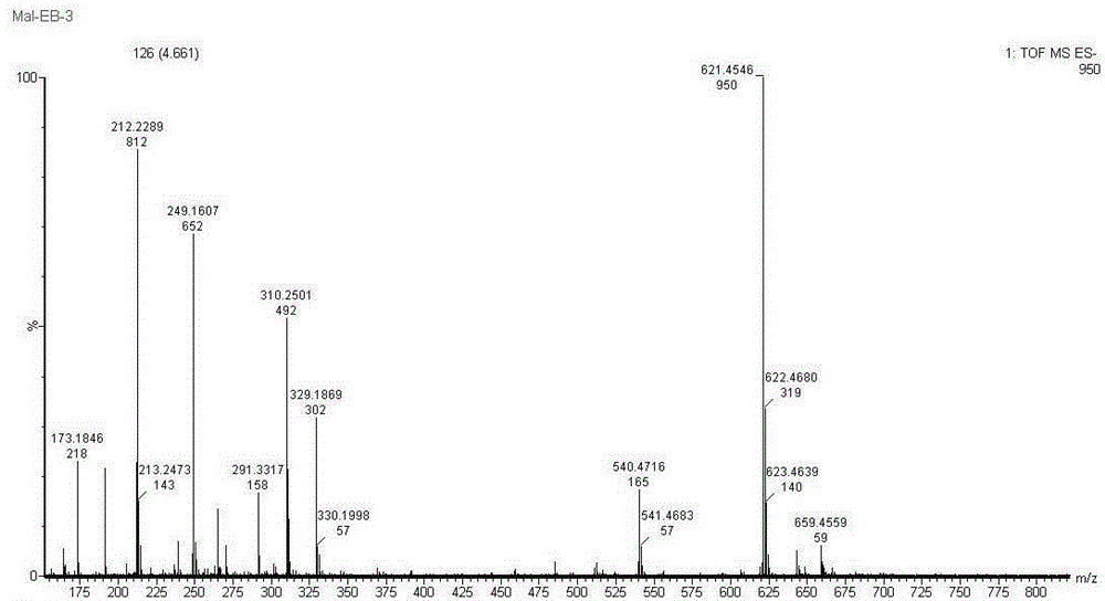 Exendin-4 modified by Evans blue or derivatives of Evans blue and preparation method and application of Exendin-4