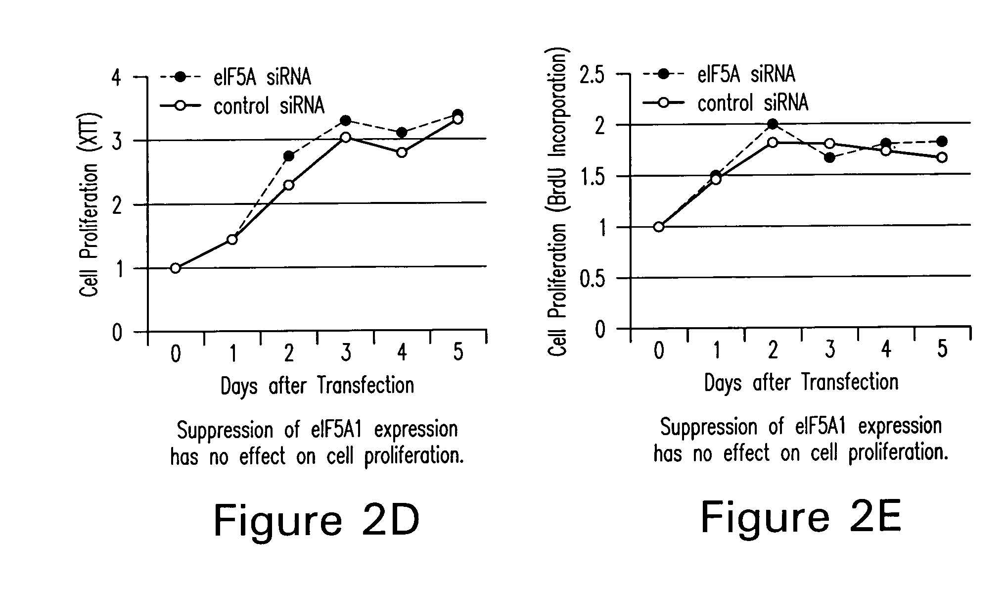 Use of eIF-5A to kill multiple myeloma cells