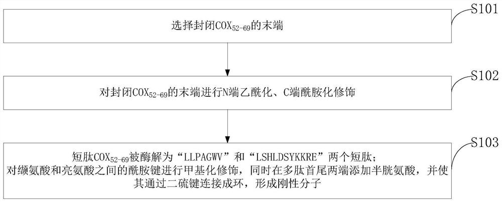 Use and modification method of modified peptide in preparation of drug for inhibiting insulin secretion from pancreatic islets