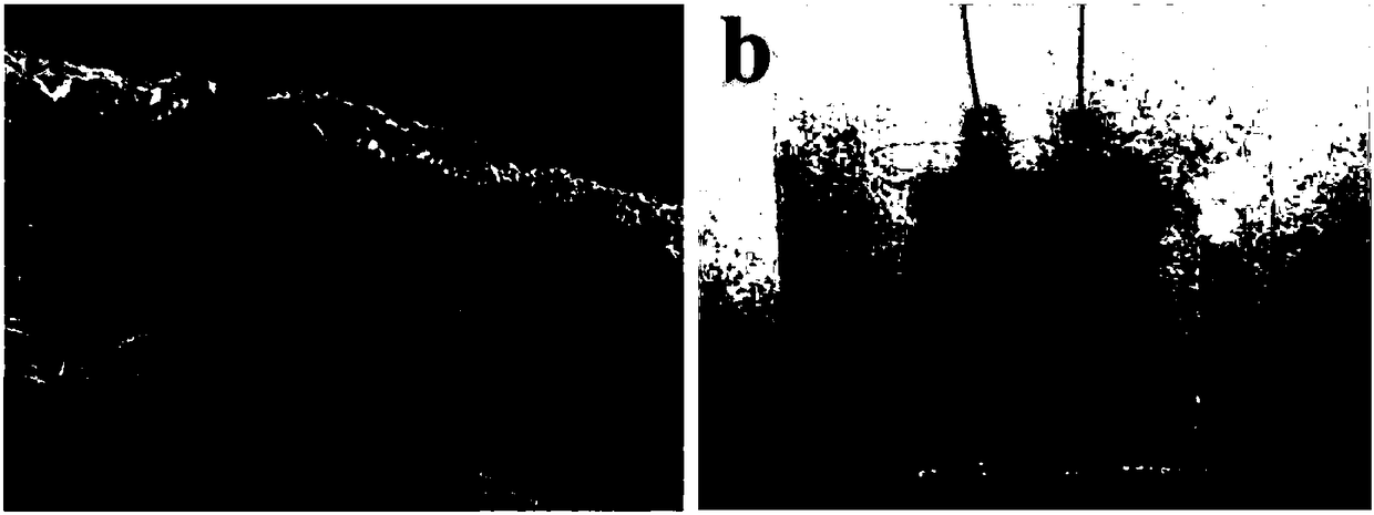 A method for continuous printing to prepare supercapacitors