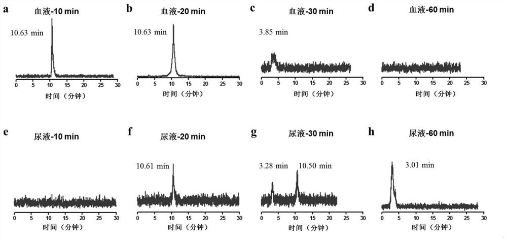 An estrogen receptor targeting radiotracer, preparation method and application