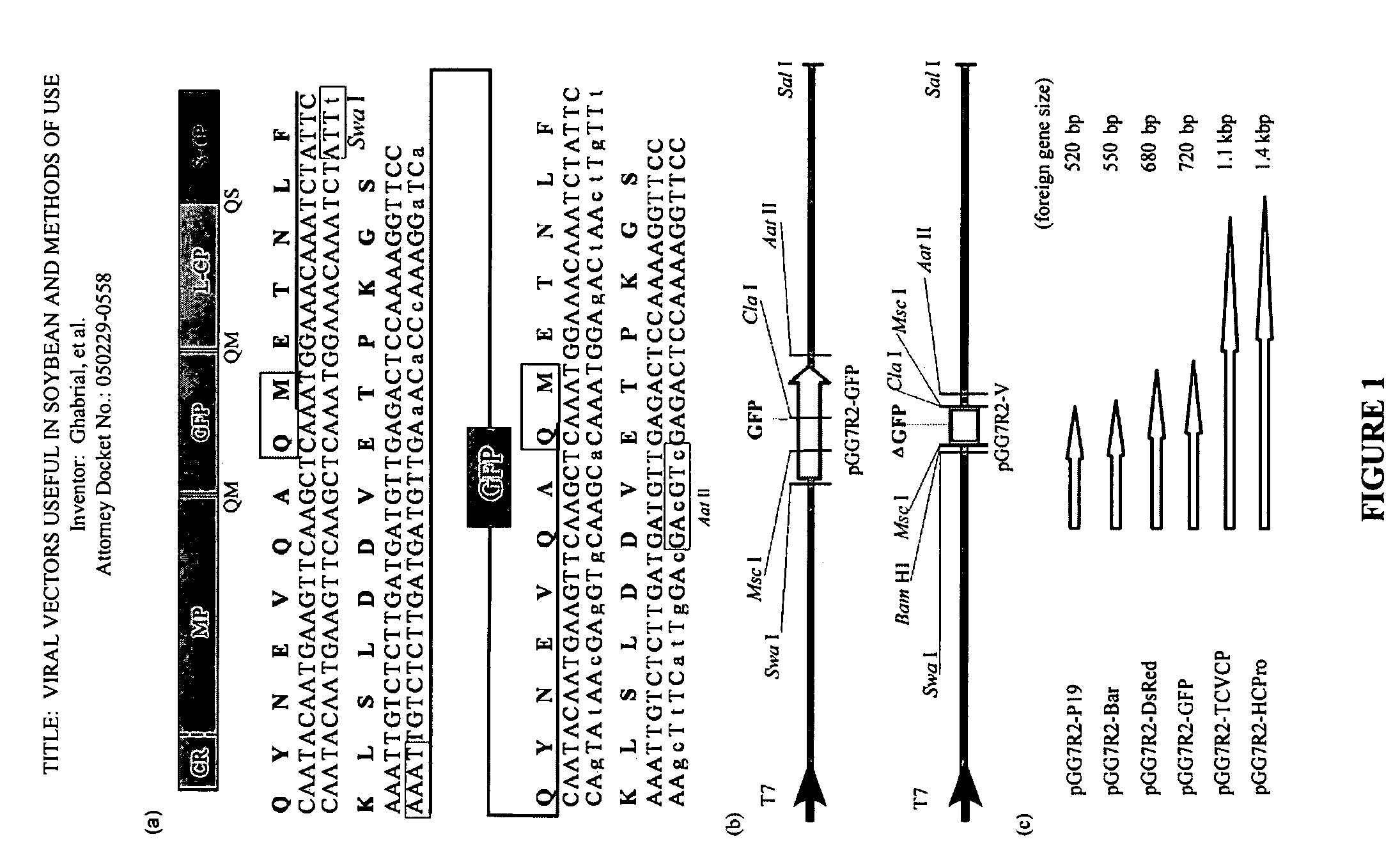 Viral vectors useful in soybean and methods of use