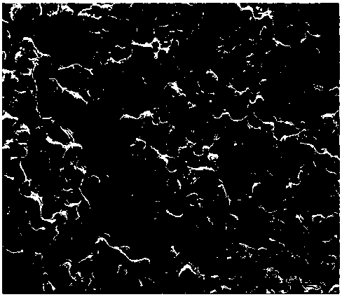 Method for preparing porous titanium with titanium sesquioxide