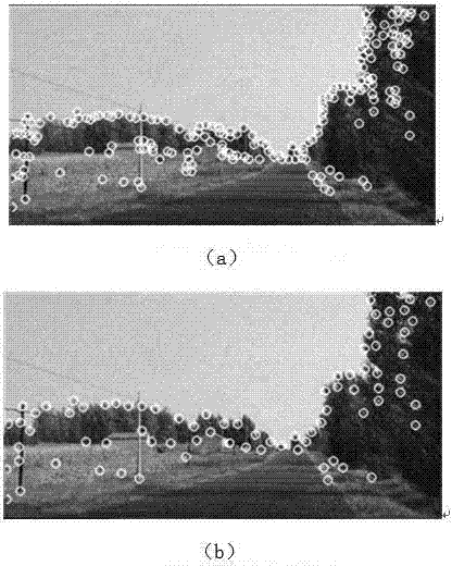 Natural road sign recognition based on real-time local characteristic description