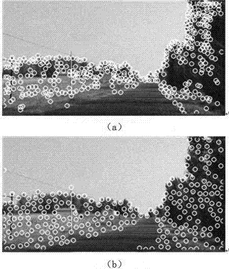 Natural road sign recognition based on real-time local characteristic description